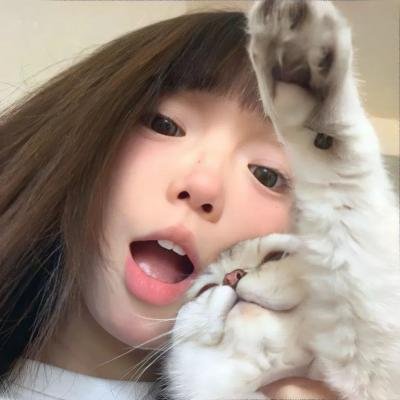 狐狸猎手